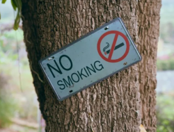 DPRD DKI Ajak Warga Laporkan Pelanggaran Kawasan Tanpa Rokok Lewat JAKI